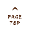 pagetop